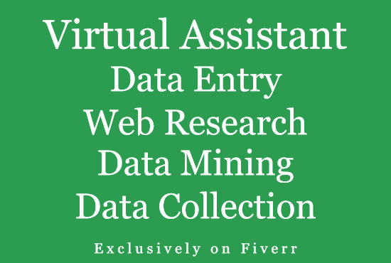 I will be your virtual assistant for data entry, web research, data processing