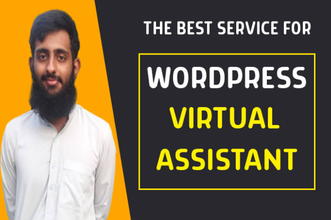 I will be your wordpress virtual assistant or consultant, helper