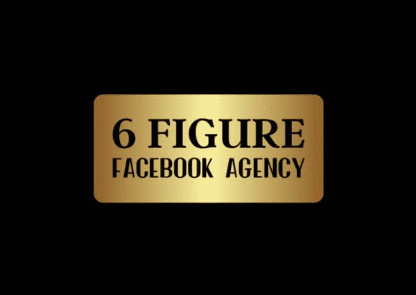 I will build a 6 figures facebook ads agency for passive income