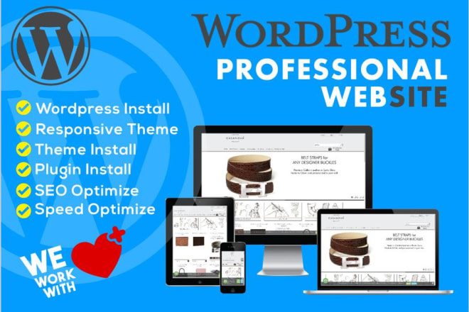 I will build a professional wordpress website design or blog