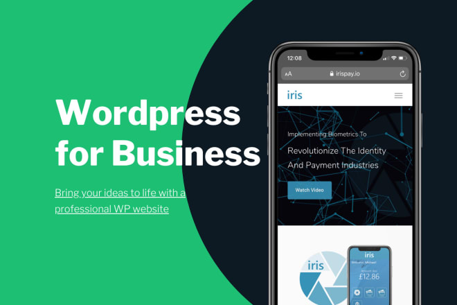 I will build a professional wordpress website for your business