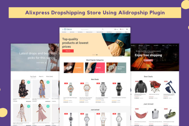 I will build alidropship aliexpress dropshipping store on wordpress