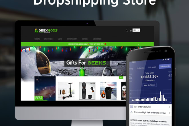 I will build and design you a custom shopify dropshipping store