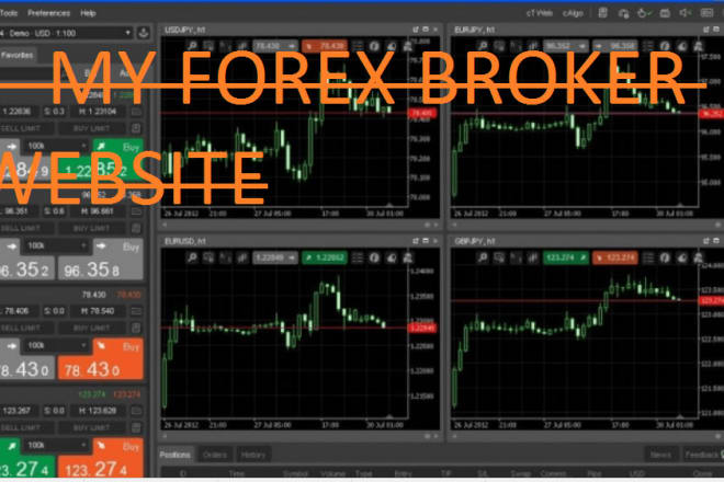 I will build best forex broker website and stock broker website