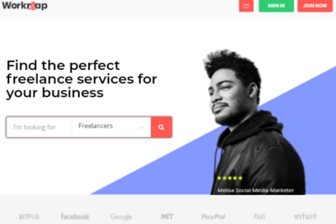 I will build professional PHP freelancing marketplace or website like fiverr