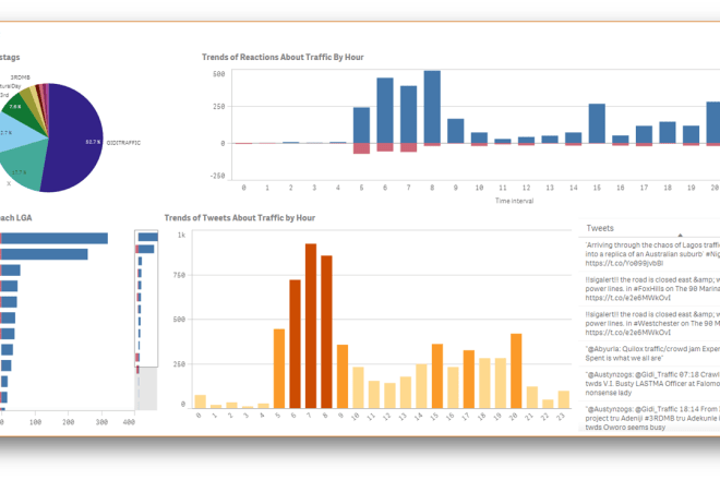 I will build qlik sense dashboards and reports for you