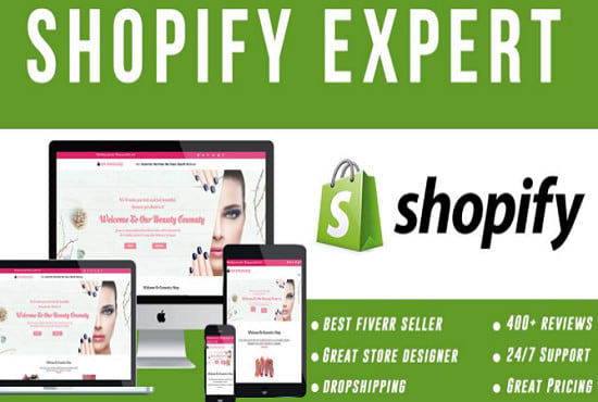 I will build shopify dropshipping store, shopify store and shopify website