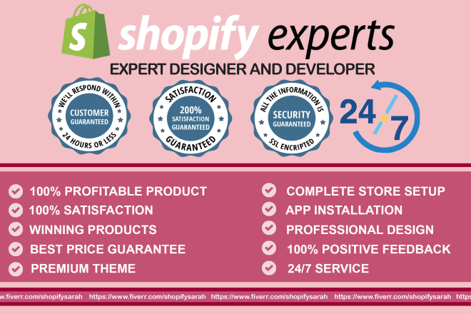 I will build you a high converting dropshipping shopify store website