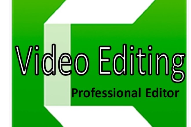 I will camtasia video professional editor
