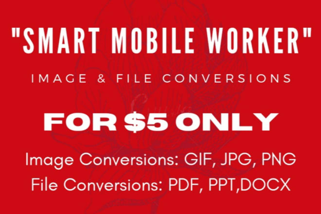 I will convert all your files and images