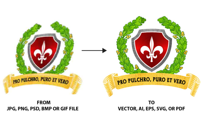 I will convert jpg or png logo file in vector file