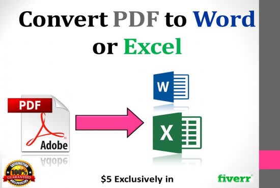 I will convert PDF file to word or excel document