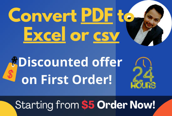 I will convert PDF to excel or csv in 24 hours