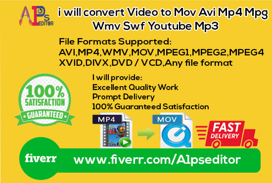 I will convert video to mov avi mp4 mpg wmv swf youtube mp3
