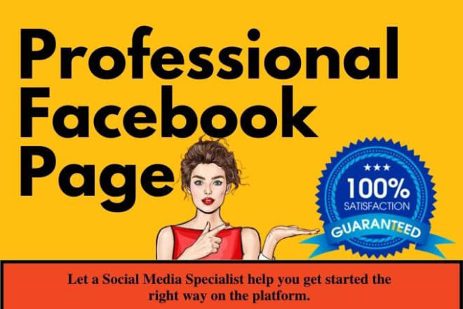 I will create a facebook business page professionally