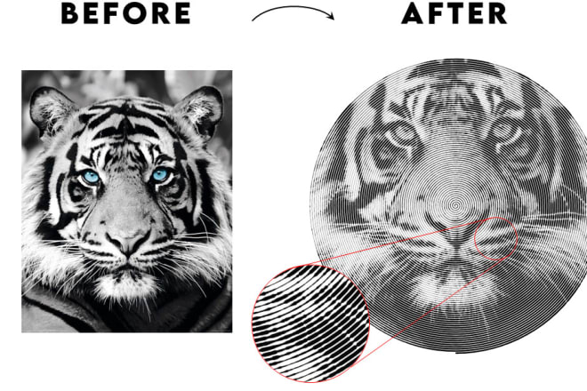 I will create a halftone art of your photo