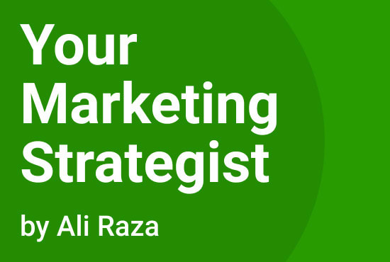 I will create a marketing strategy that grow your business faster