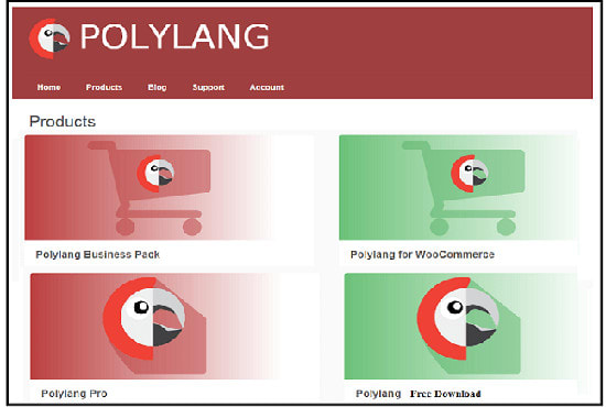 I will create a multilingual wordpress website using polylang