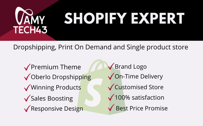 I will create a professional dropshipping shopify website and one product store