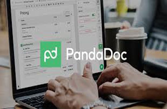 I will create a professional panda doc template for your business