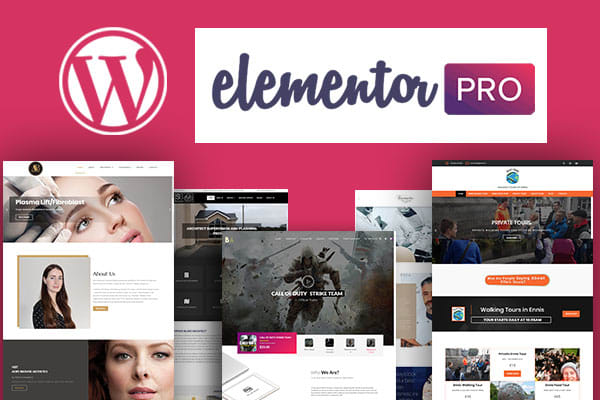 I will create a wordpress website, blog site, ecommerce site using elementor pro