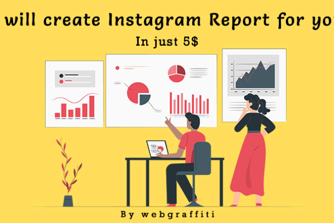 I will create an instagram report for you