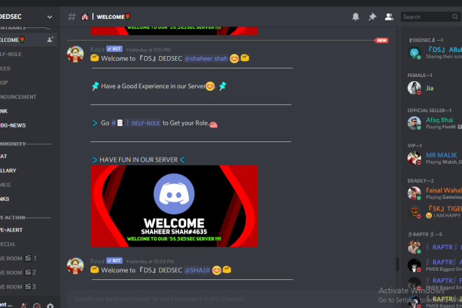 I will create any type of discord server