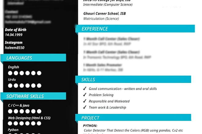 I will create awesome resume CV for job selections