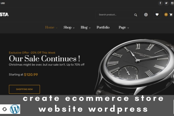 I will create ecommerce website wordpress online store