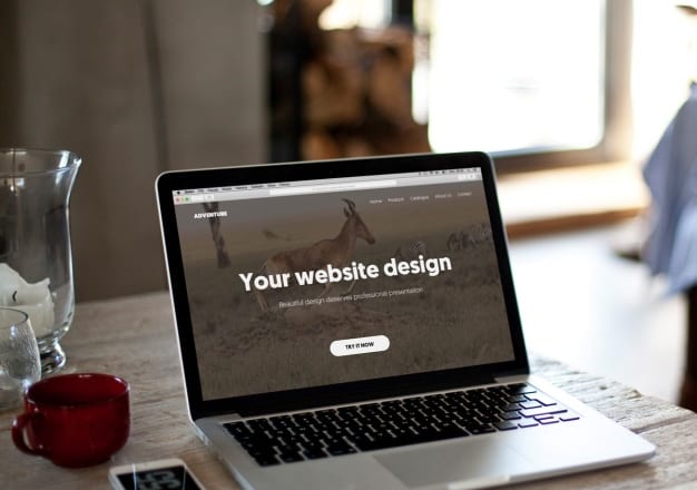 I will create homepage design layouts for your website