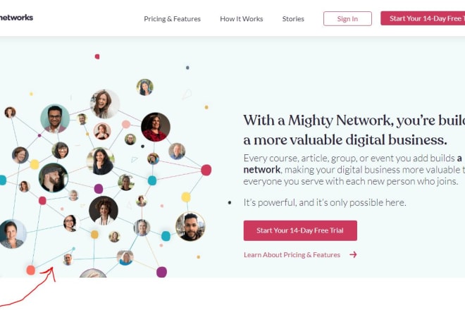 I will create mighty network landing page website, wordpress divi