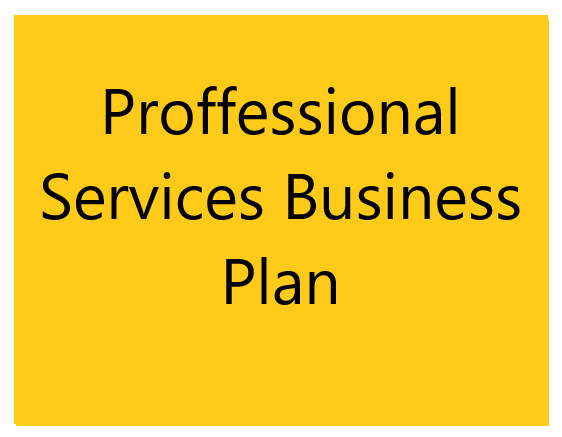 I will create outstanding professional services business plan