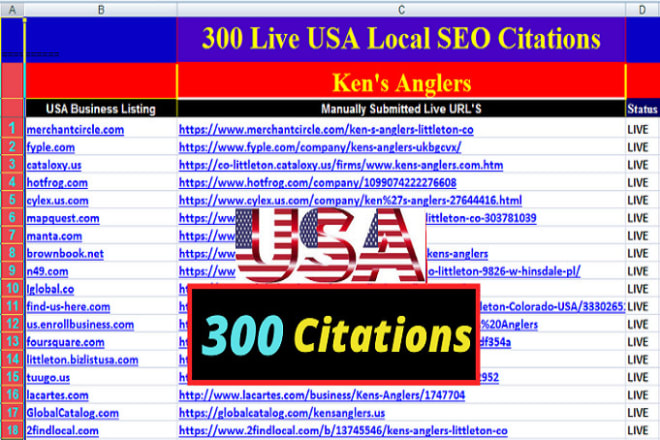 I will create top 300 live USA local SEO citations for your business
