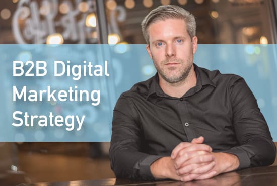 I will create your b2b digital marketing strategy