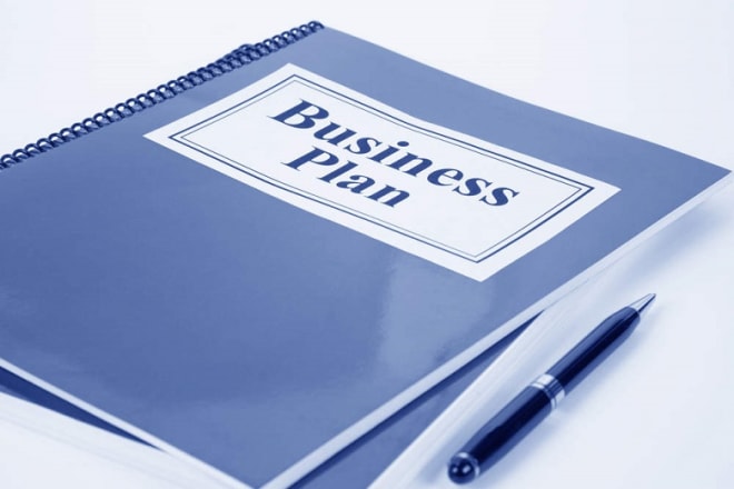 I will create your business plan professionally