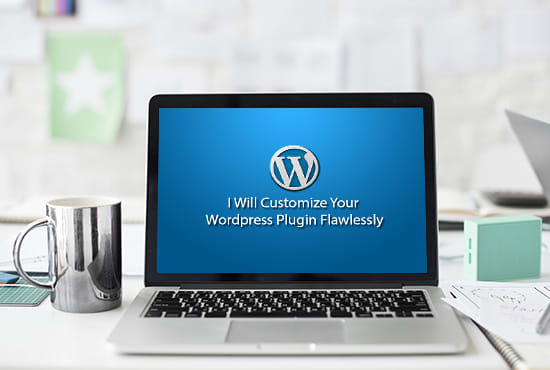 I will customize your wordpress plugin flawlessly