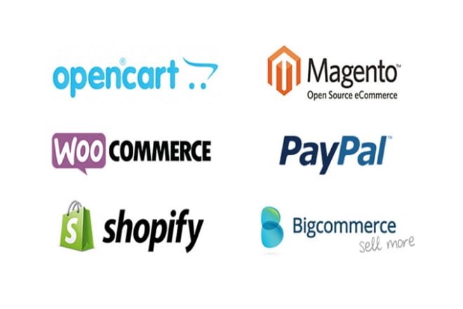 I will design 2 eCommerce online store logo for website or blog