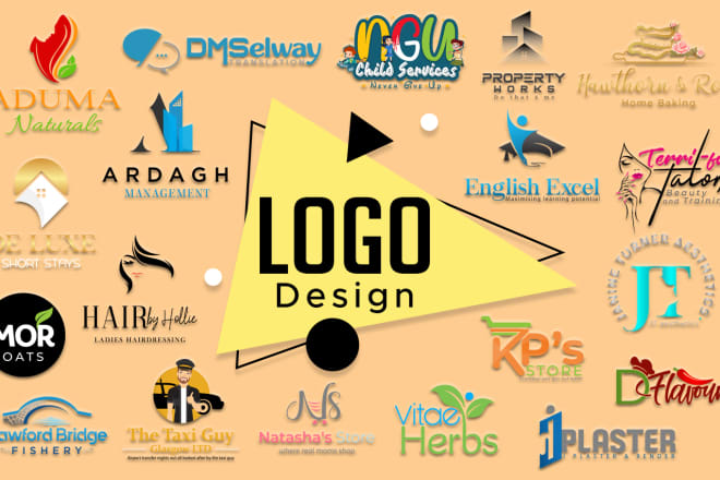 I will design 3 professional logo in 12 hours