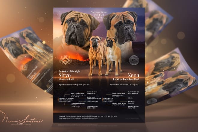I will design a professional dog litter or stud advertising