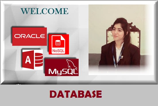 I will design and develop your database mysql, oracle and ms access