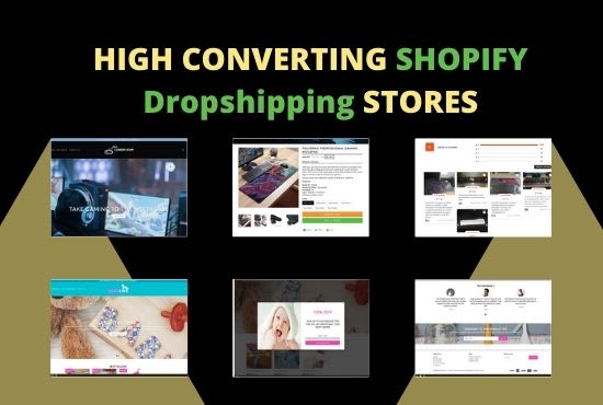I will design high converting shopify dropshipping stores and expert mentorship