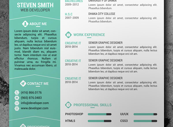 I will design professional resume for you