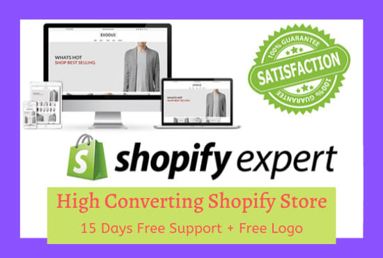 I will design shopify store, free audit for existing stores