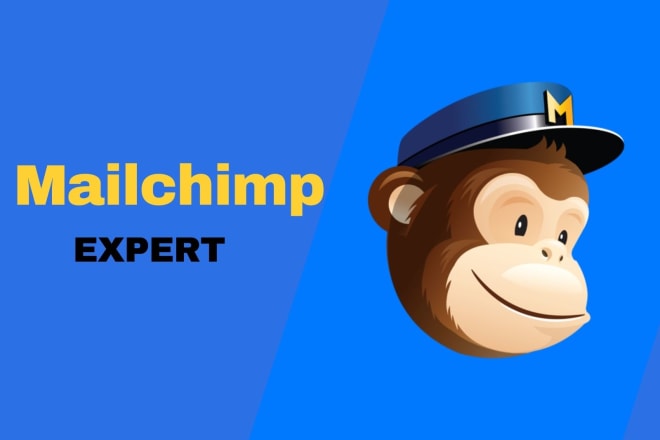 I will design your impressive mailchimp newsletter email template