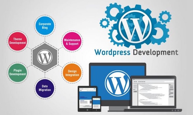 I will develop custom wordpress website and theme