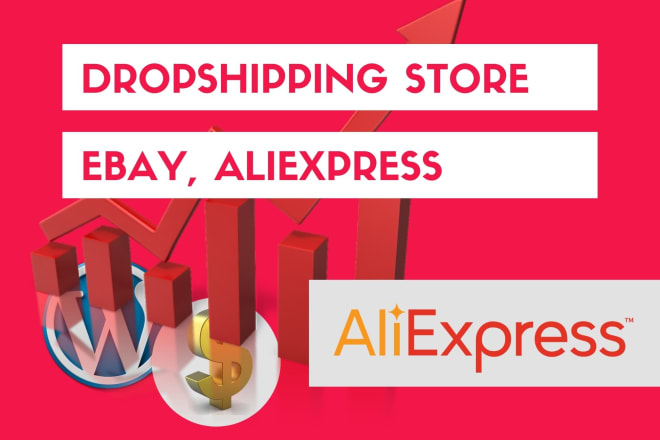 I will do alidropship aliexpress dropshipping store wordpress