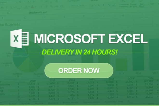I will do any microsoft excel spreadsheet task in 24 hours