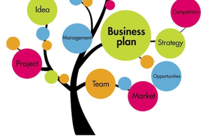 I will do awesome business plan with financials and proposals