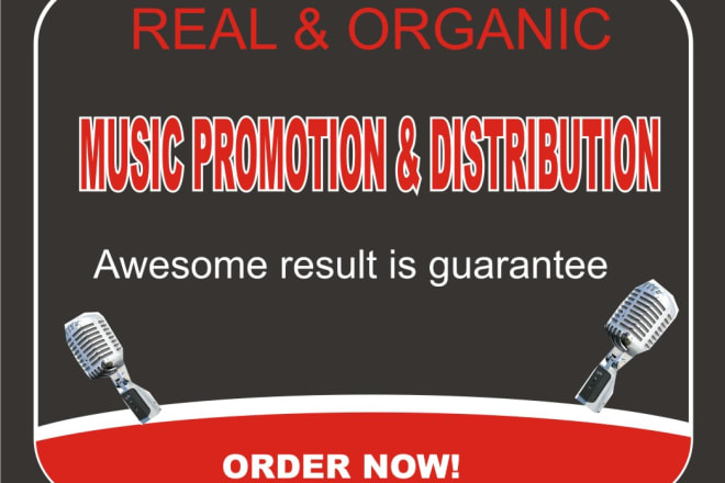 I will do awesome music promotion and distribution for you