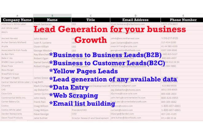 I will do b2b and b2c lead generation for your business